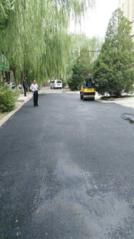 市政工程管理處 集中養(yǎng)護(hù)，筑牢城市運(yùn)行基石